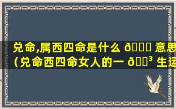 兑命,属西四命是什么 🕊 意思（兑命西四命女人的一 🌳 生运势）